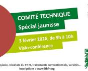 CT spécial jaunisses de la betterave sucrière