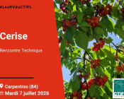 Rencontre technique cerise CTIFL #LesRVduCTIFL