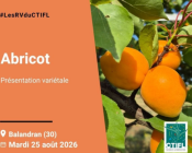 Les RV du CTIFL : présentation variétale abricot