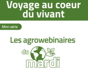 AGROWEBINAIRE du mardi