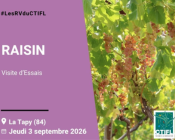Visite d'essais raisin 2026 | LES RV DU CTIFL