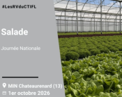 Journée nationale salade 2026 | LES RV DU CTIFL