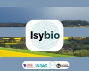 ISYBIO