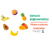Espace biocontrôle : Cultures Tropicales