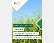Webinaire Terres Inovia