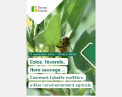 Webinaire Terres Inovia