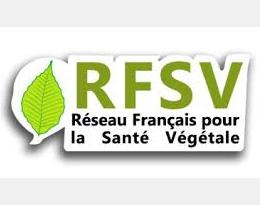 Séminaire RFSV : Invasions biologiques et crises sanitaires, leurs conséquences pour la surveillance et le diagnostic phytosanitaires