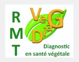Séminaire sur le diagnostic en santé des végétaux