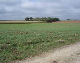 De nombreux leviers d’actions à l’implantation des céréales d’automne