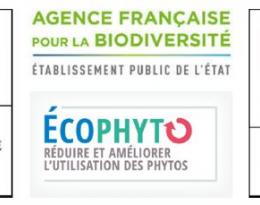 Appel à candidatures d’experts pour le Comité Scientifique d’Orientation « Recherche et Innovation » (CSO R&I)