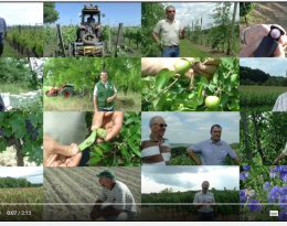 Qu'est-ce que la protection intégrée des cultures ? La parole à des agriculteurs.