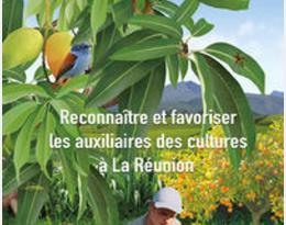 guide auxiliaire réunion