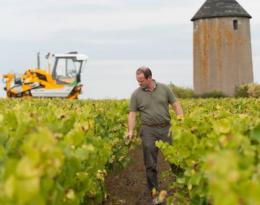 Questions/réponses : le dispositif des certificats d'économie de produits phytopharmaceutiques (CEPP)