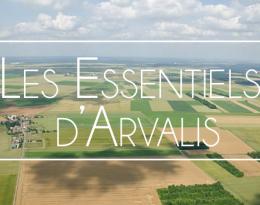Maladies foliaires des orges d’hiver : quelle nuisibilité et quels moyens de lutte ?