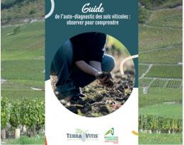 guide sols viti