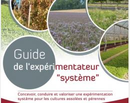 guide expé système