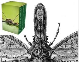 Insectes du Monde