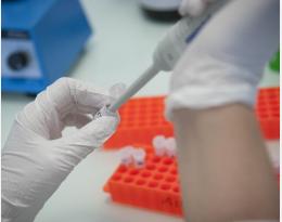 Laboratoires agréés en santé des végétaux
