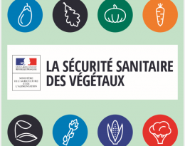 La sécurité sanitaire des végétaux
