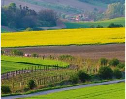 Agriculture compétitive et durable : les apports croissants du biocontrôle