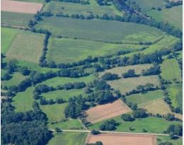 Favoriser la diversité des plantes avec des parcelles plus petites