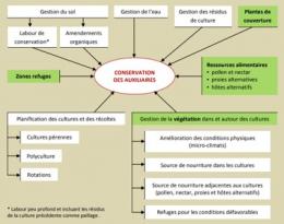 lutte biologique par conservation