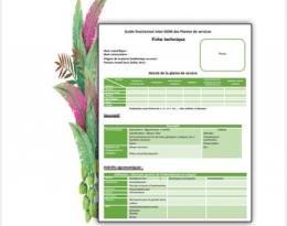 plantes de services
