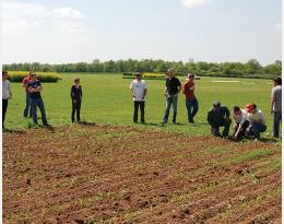 Réduction des produits phytosanitaires : S'inspirer de pratiques éprouvées