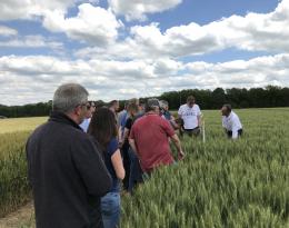 Groupe d'agriculteurs lors de notre visite à la station expérimentale Arvalis. 