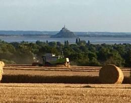 Récolte essai blé avec réduction fongicide (secteur Mont Saint Michel)