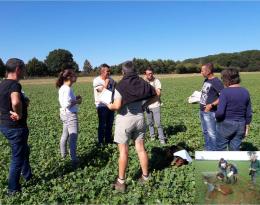 Groupe en plein échange dans un champ de colza sous sarrasin