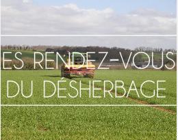 Bien connaître la biologie du brome stérile pour adapter les moyens de lutte