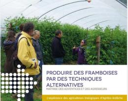 framboises ta