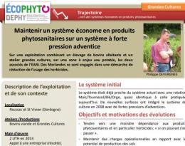 Fiche