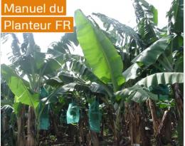 Manuel du Planteur de Banane