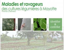 mayotte cultures légumières ravageurs maladies