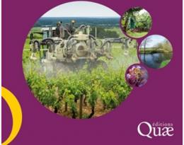 pesticides impacts