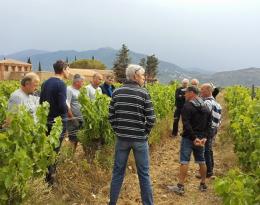 Parcelle 0 herbicide - station expérimentale de Tresserre