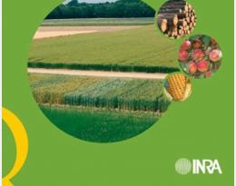 Histoire et amélioration de cinquante plantes cultivées