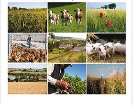 vers des agricultures multiperformantes