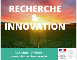 Optimisation du Contrôle Biologique du foreur de la canne à sucre, à l’île de la Réunion, par la recherche d’un arrêt de développement chez Trichogramma chilonis