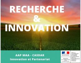 Conception et développement d’un système innovant de vergers en production intégrée en vue de l’amélioration des performances environnementales et économiques : espèce modèle pêcher