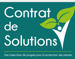 logo cds