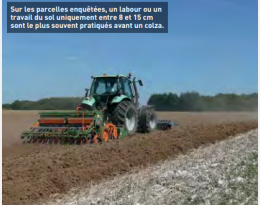 Désherbage du colza: Rotation et labour, deux facteurs majeurs de réussite