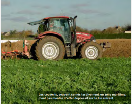 Lin fibre de printemps : trois années d'essais précisent l'impact des couverts