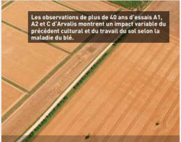 Essais « Travail du sol » à Boigneville : Lutter autrement contre les maladies
