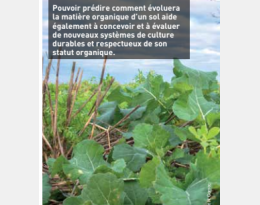 Systèmes de culture innovants : Évaluer l’évolution du statut organique des sols