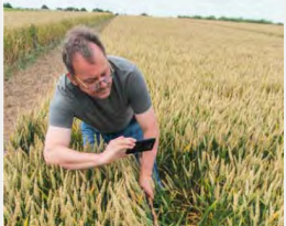 Diminution de l’IFT : remplacer le T1 par du biocontrôle