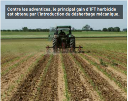 Réduction des produits phytosanitaires : s’inspirer de pratiques éprouvées