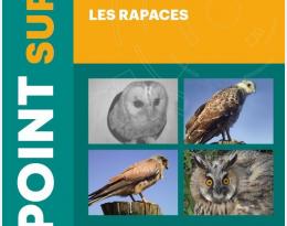 PSRapaces